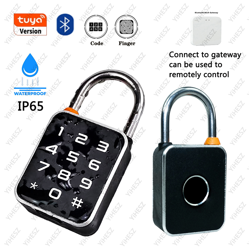 Tuya 스마트 자물쇠 전기 생체 인식 잠금 장치 IP - Smart Home Ezviz 리뷰 및 가격