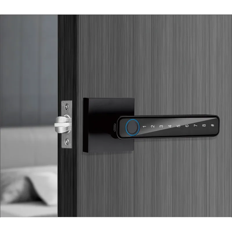 고품질 터치스크린 지문 비밀번호 키 스마트 홈 TT 앱 - Smart Home Key 리뷰 및 가격