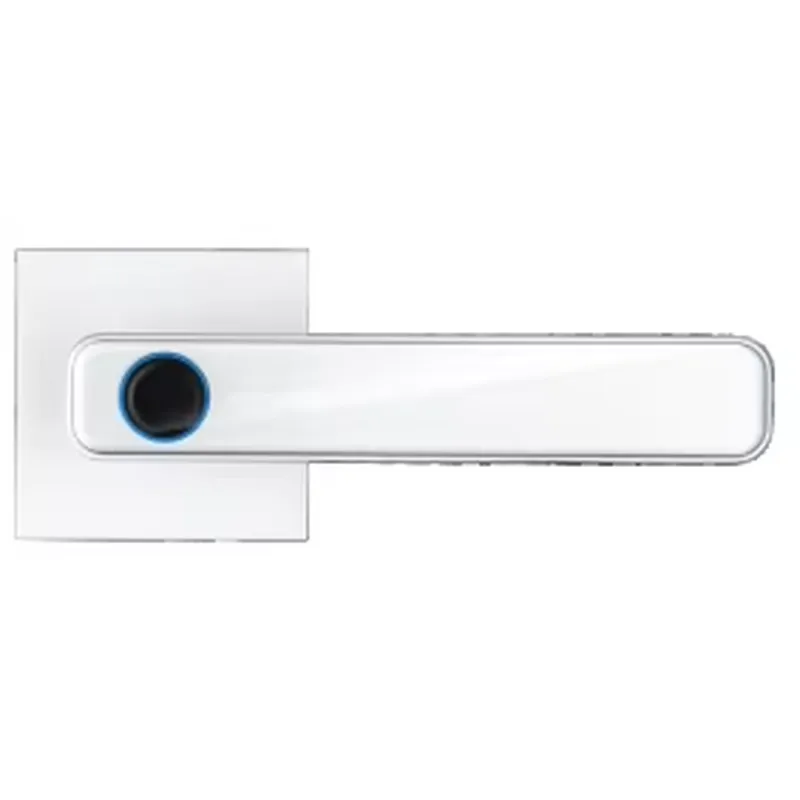 고품질 터치스크린 지문 비밀번호 키 스마트 홈 TT 앱 - Smart Home Key 리뷰 및 가격